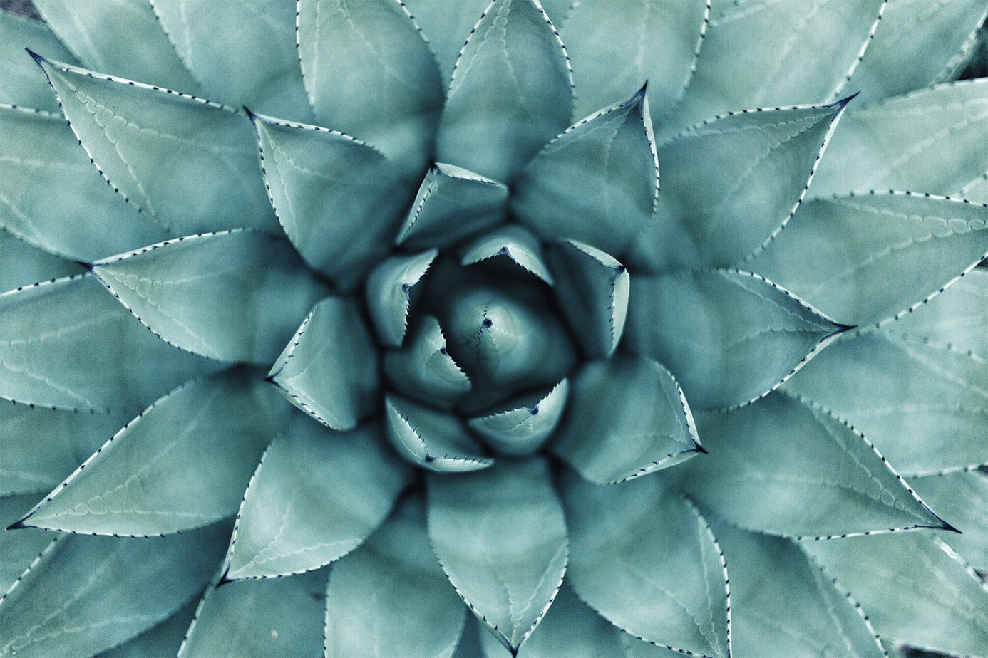 How to Use Opt-in Bribes to Boost Conversions