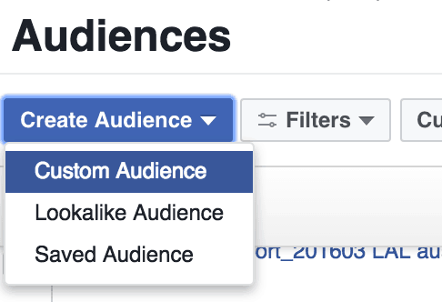create audience type